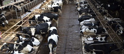 Agriculture and farming